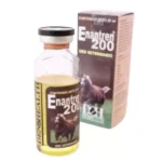 enantren-den-and-health